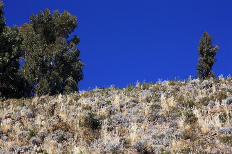 824-Lago Titicaca,isola di Taquile,13 luglio 2013.JPG